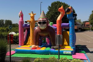 Party Animals
